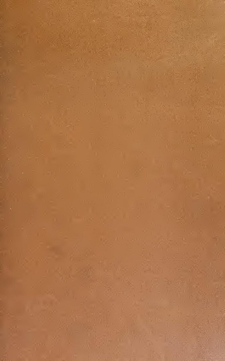 ONU : Environ 730 enfants morts dans des centres de nutrition en Somalie