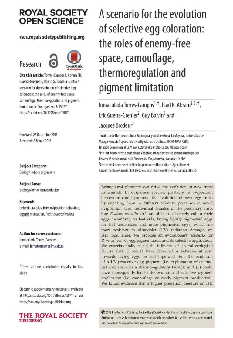 Top Scholarships Currently Open For International Students