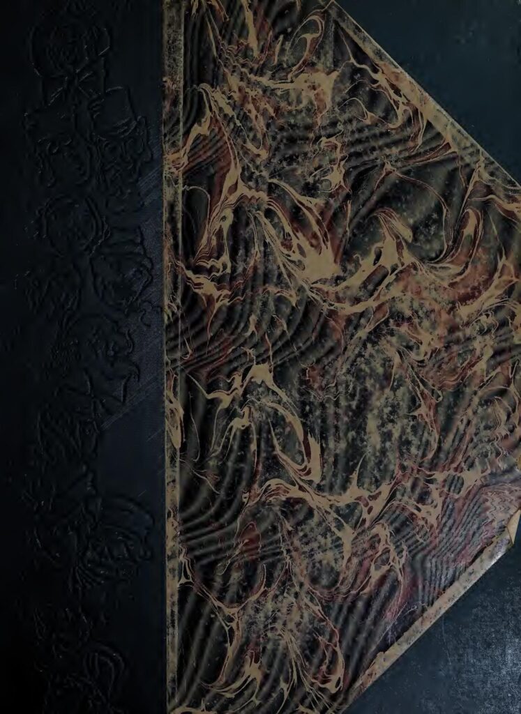 Demba Ba devient propriétaire du club Amitié FC