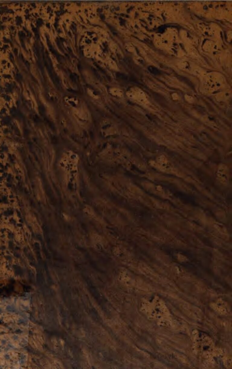 Tibet : une foule manifeste contre un confinement de plus de 2 mois