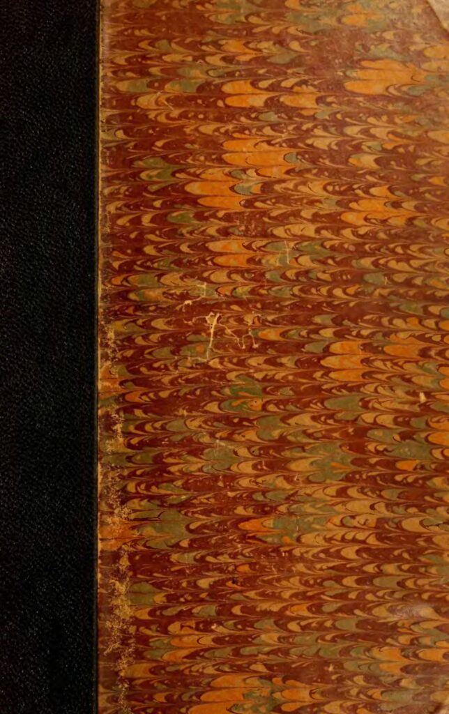 France : une femme tente de tuer son fils car il est gay