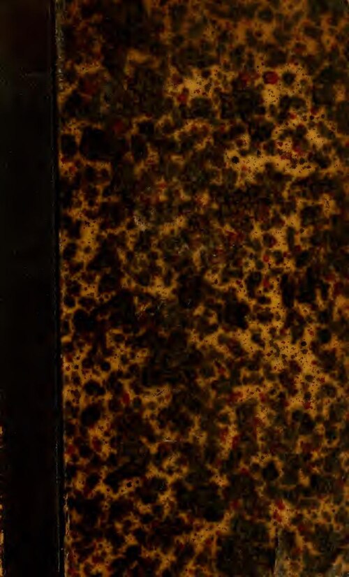 Maroc : les restrictions sanitaires ont été levées