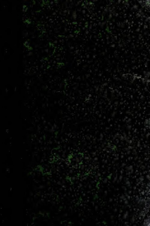 Liste des meilleures bourses d’études pour les étudiants africains 2022-23 ou 2024 (en ANGLAIS)