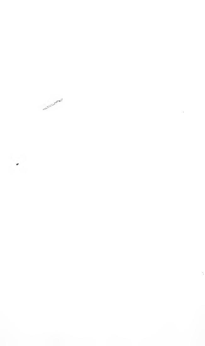 Le dollar a chuté suite à une baisse du taux à dix ans aux États-Unis