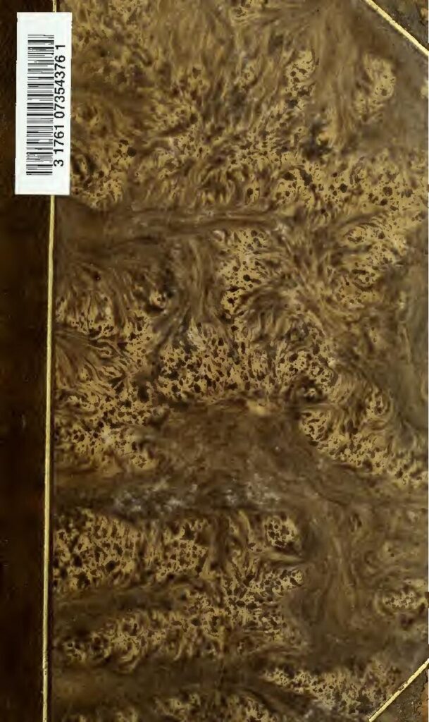 Afrique du Sud : une girafe tue un bébé dans une réserve