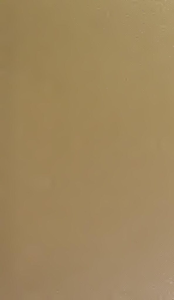 À quel point l&rsquo;Anime a-t-il influencé l&rsquo;univers de la mode ?