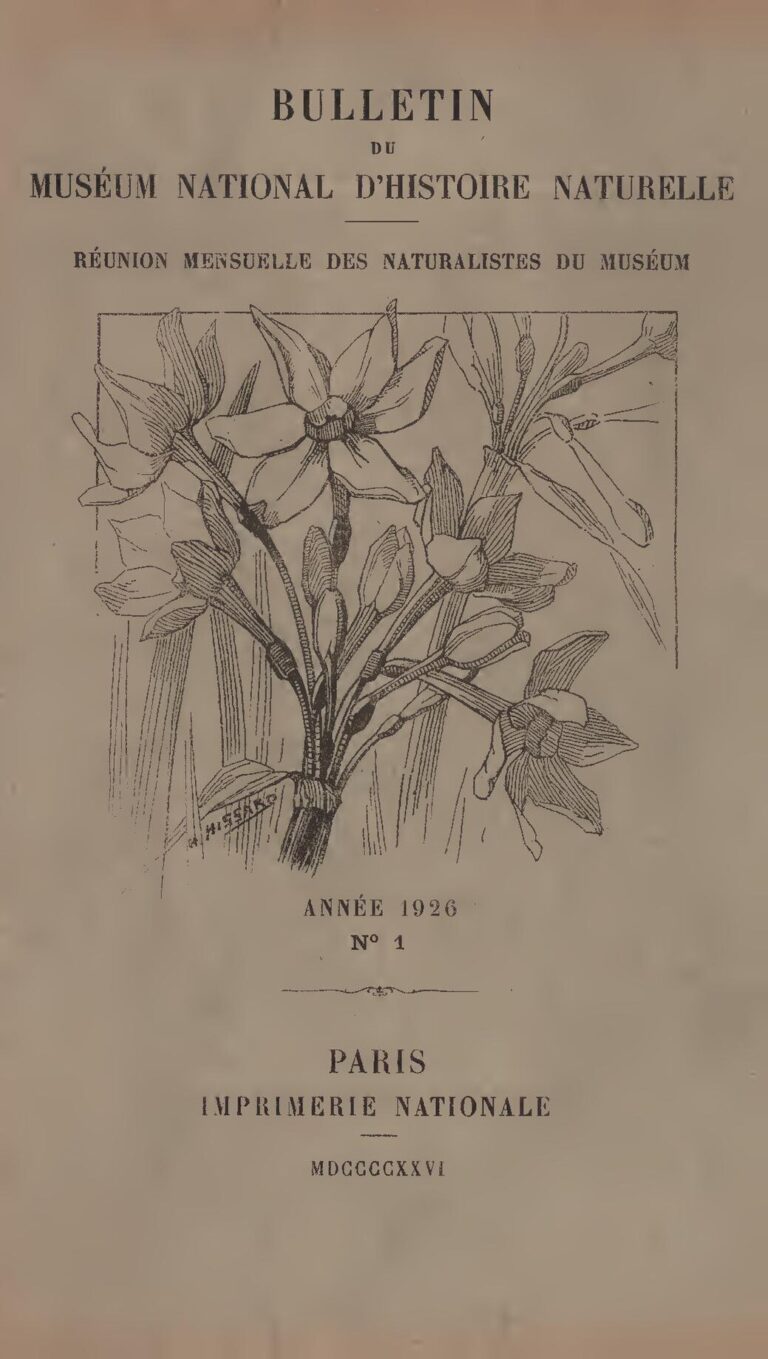 Vol de données biométriques : Ces 23 pays africains courent un grand danger