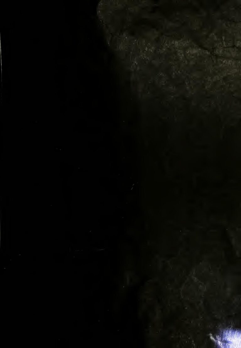 Bénin : Grave accident de circulation à Cotonou (photo)