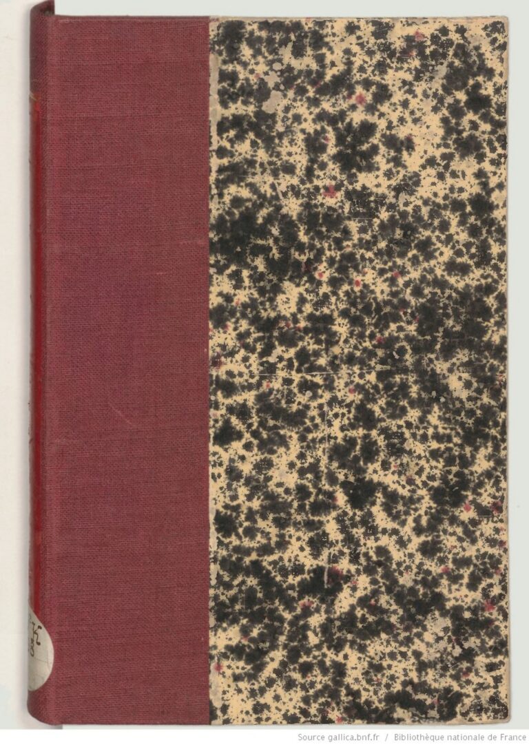 Un véhicule heurte le mur de clôture de la présidence béninoise