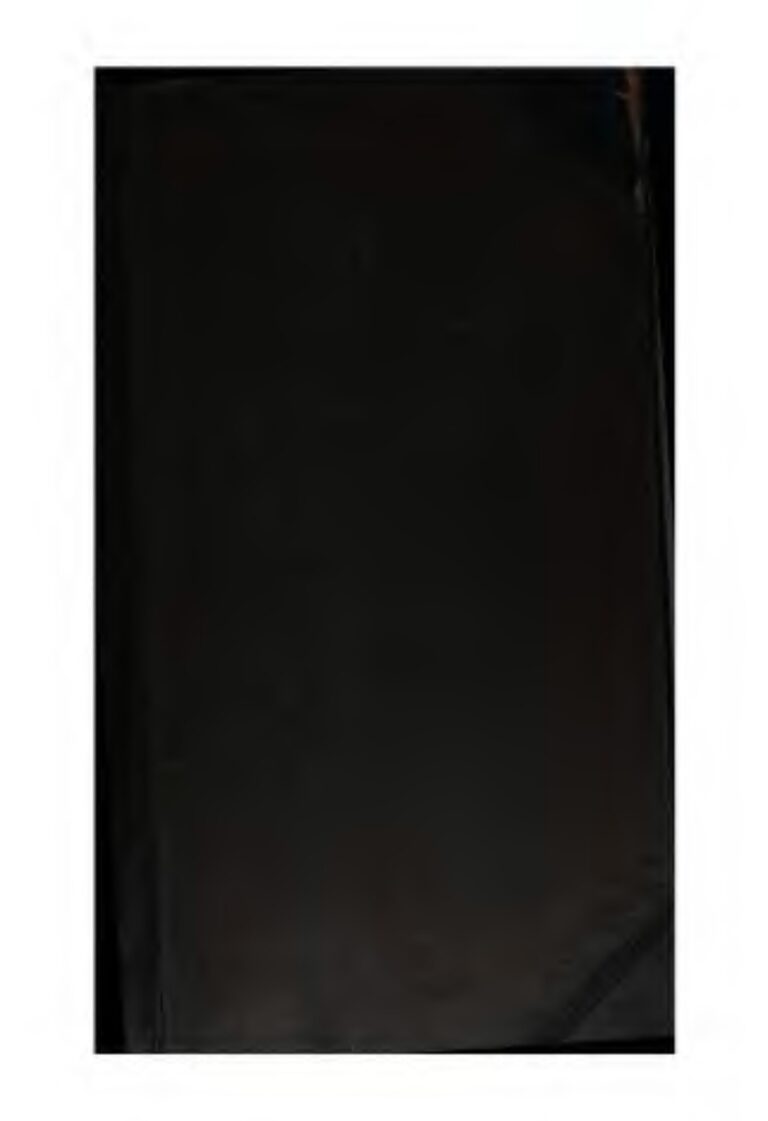 Côte d’Ivoire : Charles Blé Goudé de retour au pays? il dit au revoir à la CPI