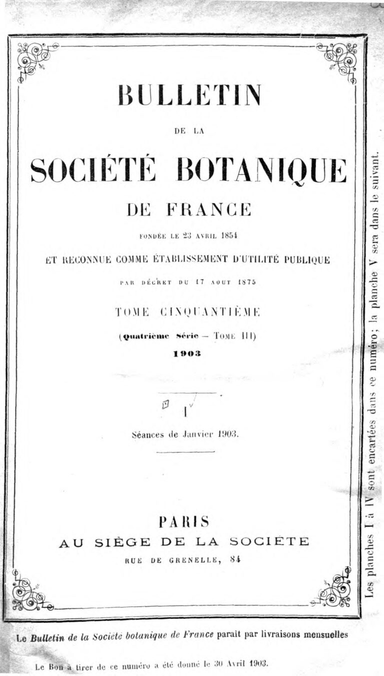 Drake admet qu&rsquo;il regarde du p0rn0 quotidiennement