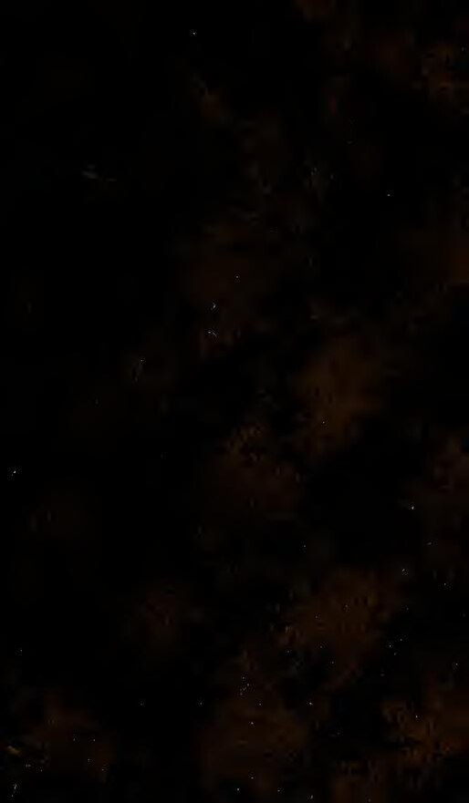 Un puissant tremblement de terre frappe l’Indonésie