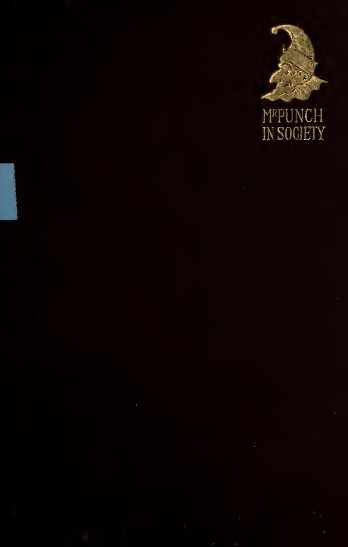 Flossie : le chat le plus âgé au monde aura bientôt 27 ans