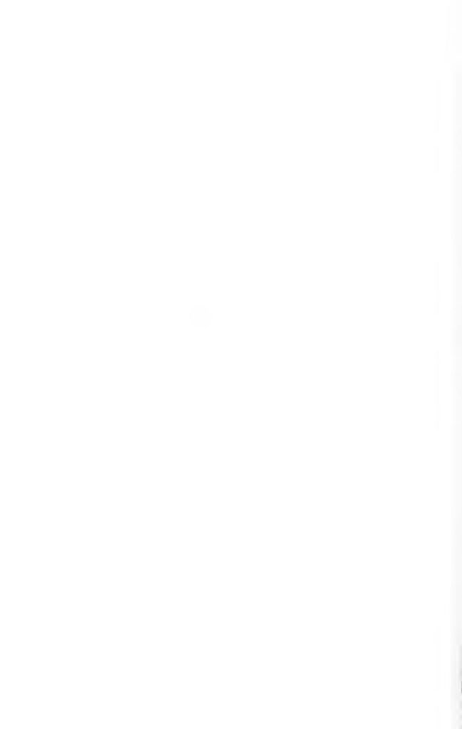 6 outils en lignes à absolument utiliser pour retoucher vos photos