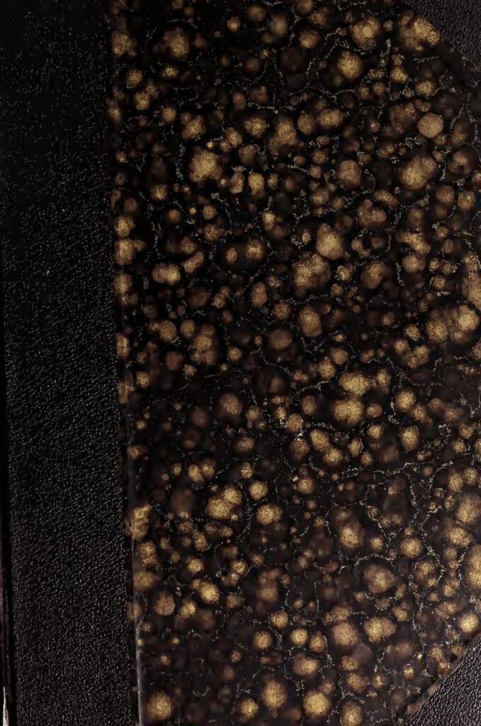 Pérou : deux (2) morts lors des manifestations contre la nouvelle présidente