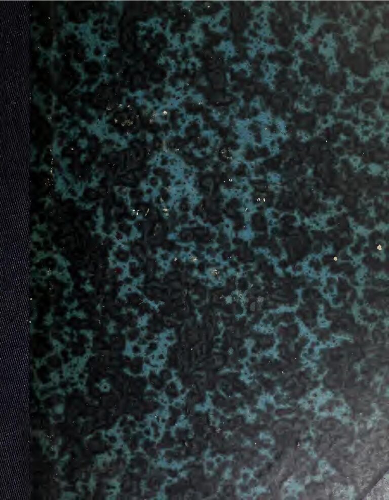 Guinée : des jeunes étouffés à coup de gaz lacrymogènes lors d’une manifestation