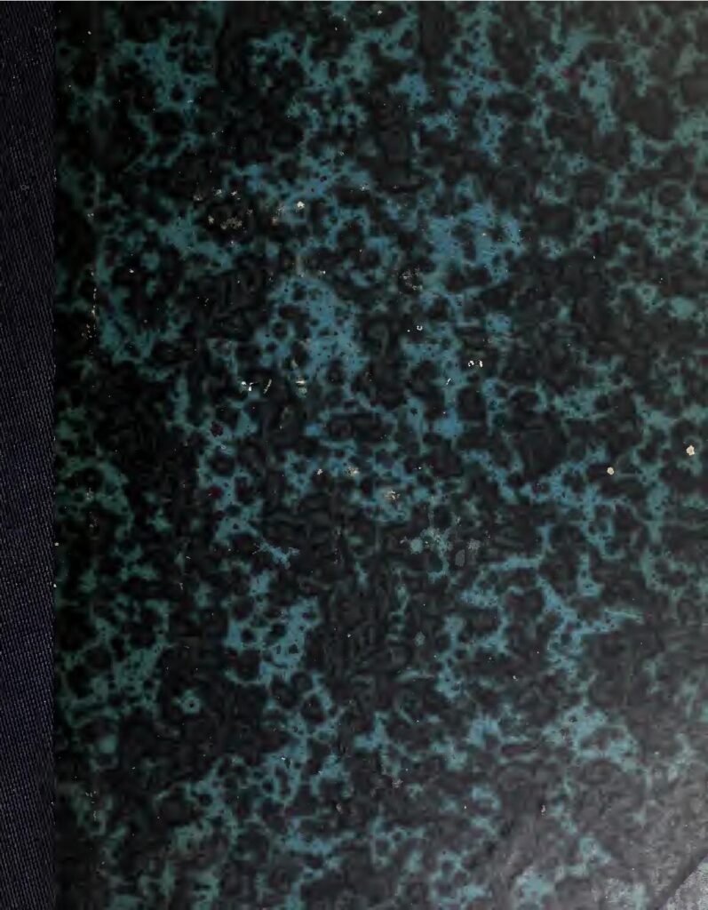 Guinée : des jeunes étouffés à coup de gaz lacrymogènes lors d’une manifestation