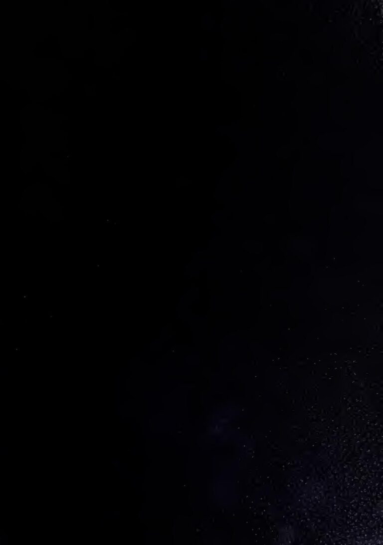 Italie : des statues vieilles de plus de 2000 ans découvertes