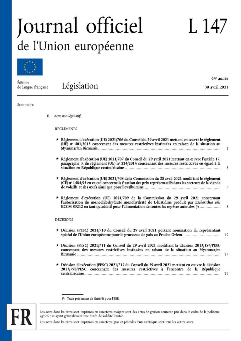 Centrafrique : Les Bâtiments De La Délégation De L’ue Ravagés Par Un Incendie (Photos)