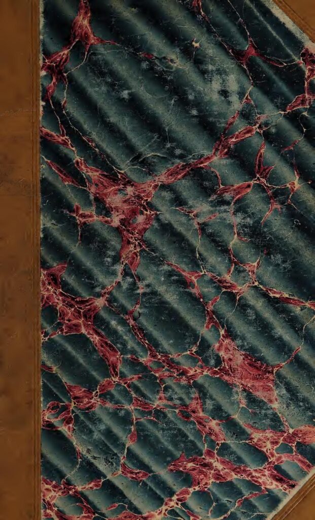 Le Niger signale une grave grippe aviaire chez les volailles