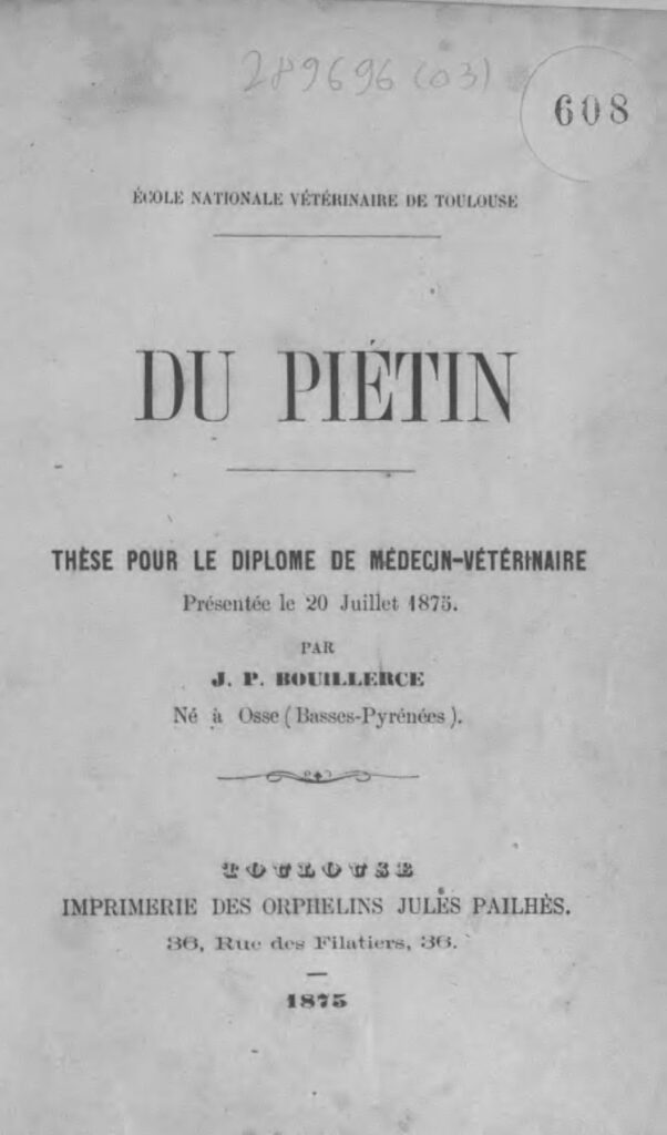 YouTube annonce ses listes de fin d&rsquo;année 2022 au Nigeria