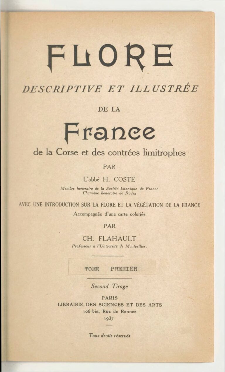 Alba Flores : Ce que devient l&rsquo;interprète de Naïrobi dans la série Casa de Papel (photos)