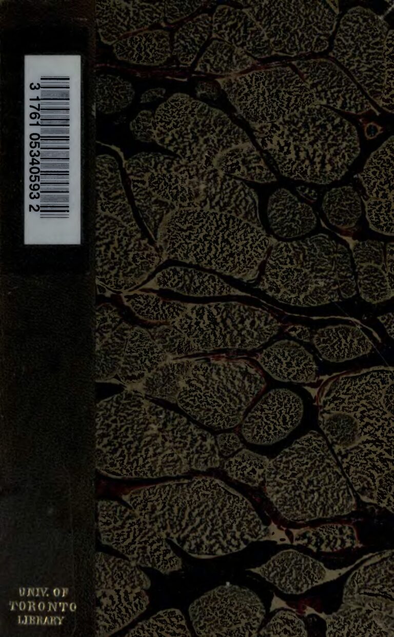 Coupe du monde : un (1) mort lors de la célébration du sacre de l&rsquo;Argentine