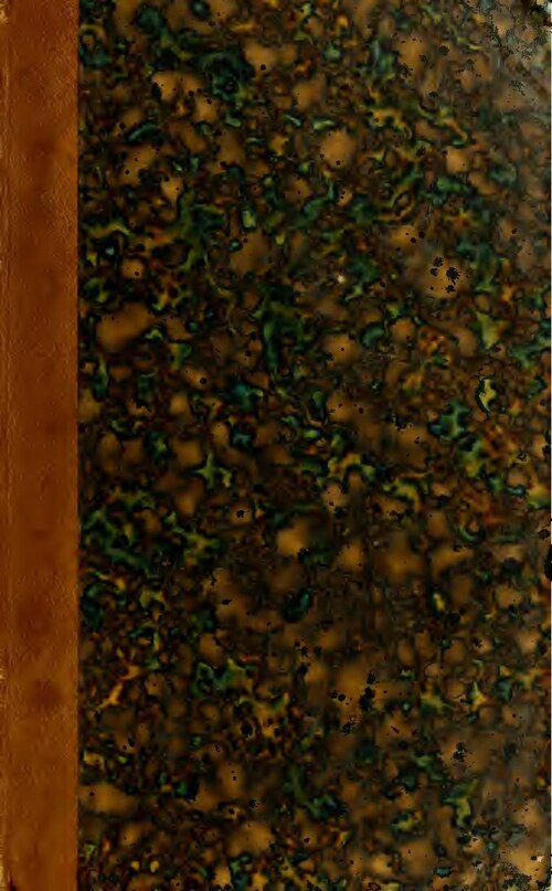 Insolite : cet homme meurt quatre ans après avoir été mordu par son chat