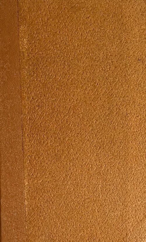 Le concert d&rsquo;une artiste suspendu à cause de son habillement