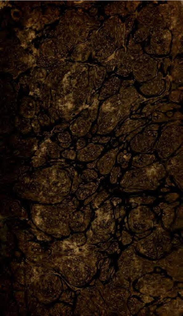 Man Utd : Erik ten Hag dit avoir déjà oublié Cristiano Ronaldo