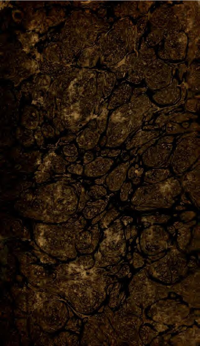 Man Utd : Erik ten Hag dit avoir déjà oublié Cristiano Ronaldo