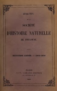 Coupe du Monde : Le Maroc encaisse son premier but sous Regragui (Vidéo)
