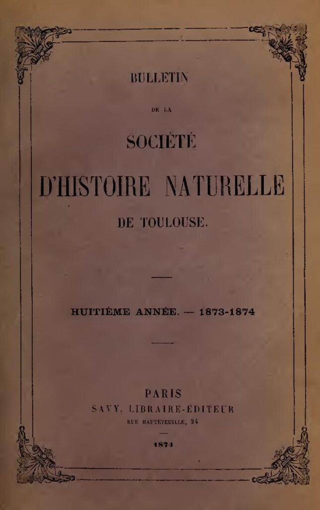 Coupe du Monde : Le Maroc encaisse son premier but sous Regragui (Vidéo)