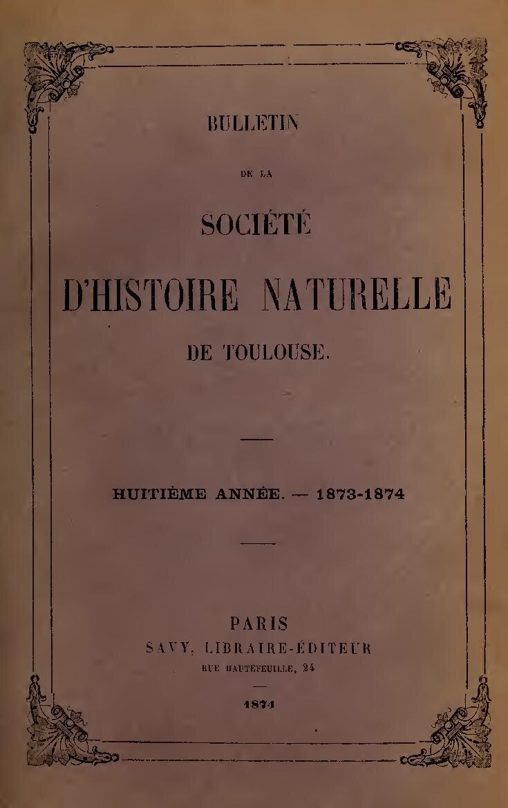 Coupe du Monde : Le Maroc encaisse son premier but sous Regragui (Vidéo)