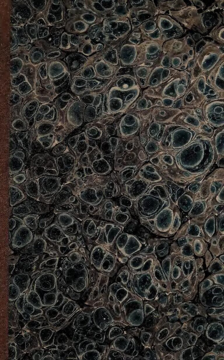 Gabon : un tremblement de terre dans plusieurs villes