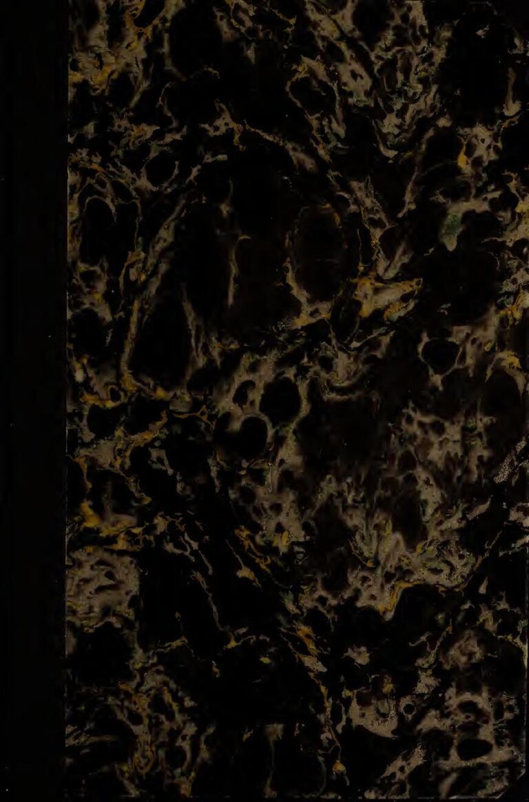 Vidéo : Des adolescents noirs attaqués dans une piscine « réservée aux blancs »