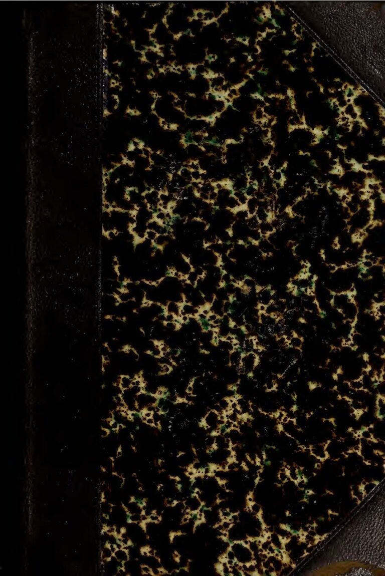 Maroc : Bientôt Une Sanction Contre La Diffamation Sur Les Sites Web Et Médias