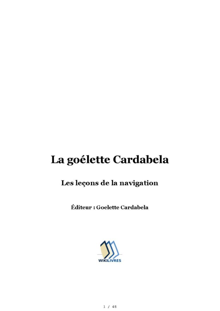 iPhone : guide pratique et conseils essentiels pour bien démarrer