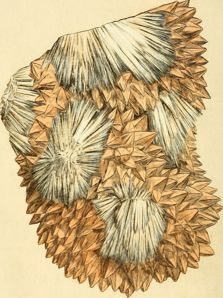 « Rich Till I Die » : Le nouveau single de Kizz Daniel fait rage