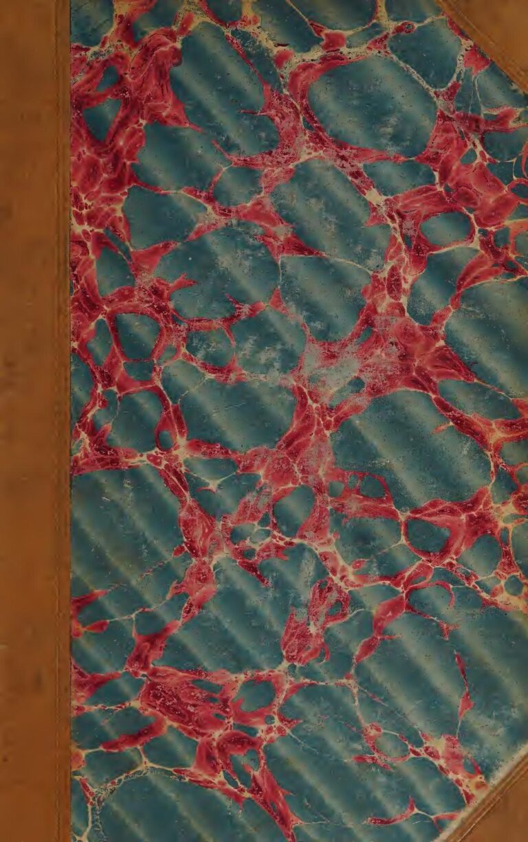 Sénégal : 19 morts dans un nouvel accident de circulation causé par un âne