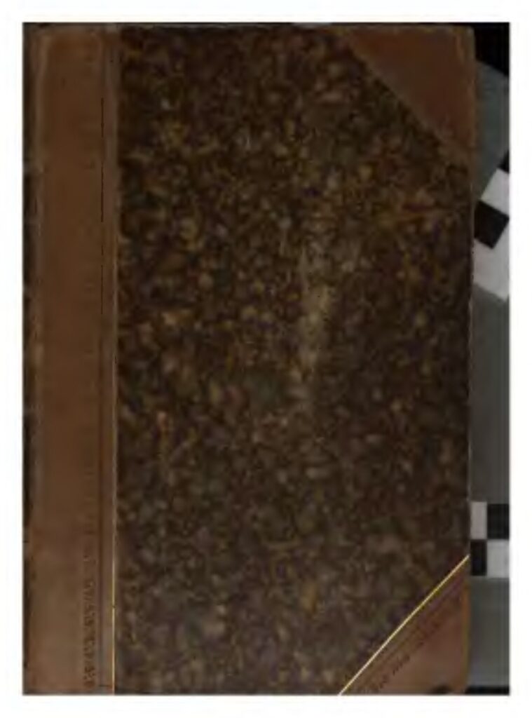 Fair Luci : comprendre simplement ce que c’est et ses enjeux majeurs