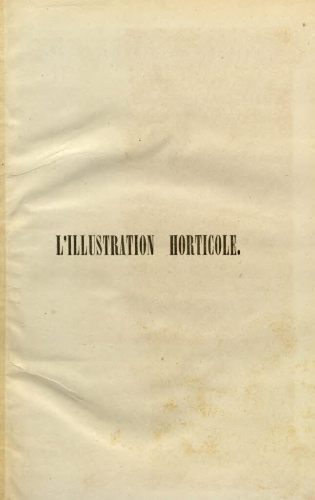 Voici le tirage au sort complet de la Coupe du Monde des Clubs 2022