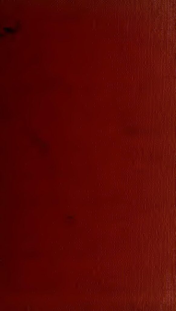 Un homme devant le tribunal pour avoir vi0lé à mort son chat