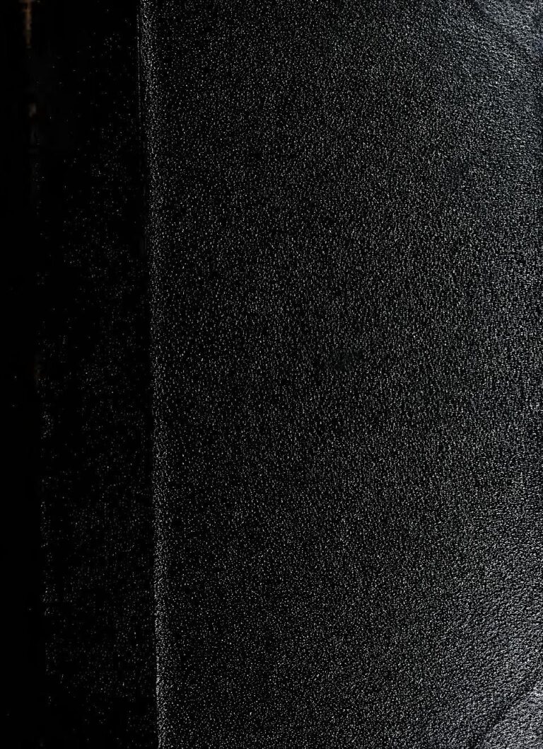 Côte d’Ivoire : un incendie ravage des magasins au marché d’Adjamé