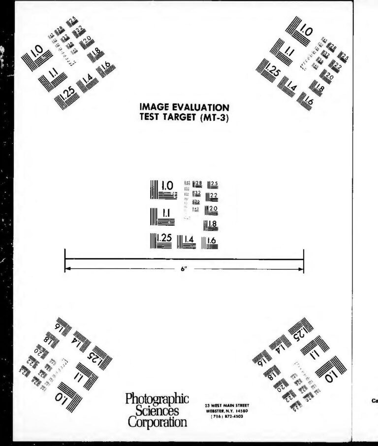 Tradition de mariage : Découvrez pourquoi l&rsquo;alliance se porte à l&rsquo;annulaire gauche