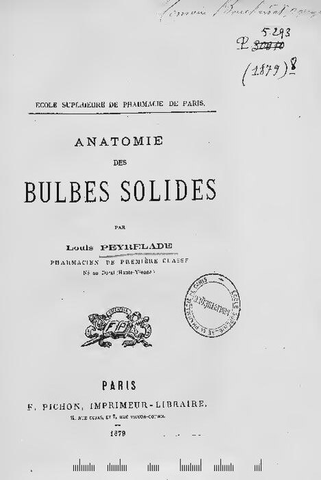 Odeurs vaginales : 5 huiles essentielles pour ne pas faire fuir votre partenaire