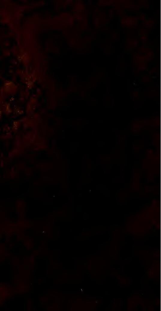 Bénin : elle poignarde à mort sa coépouse dans une bagarre