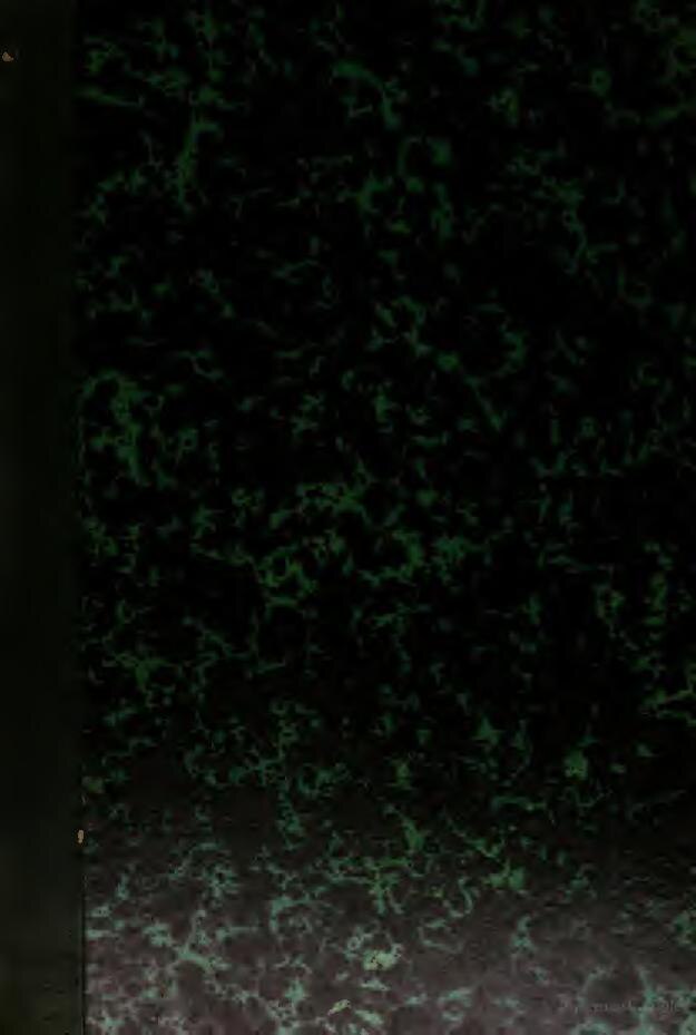 Thomas Beatie : Le premier homme enceinte au monde choque la toile (PHOTOS)