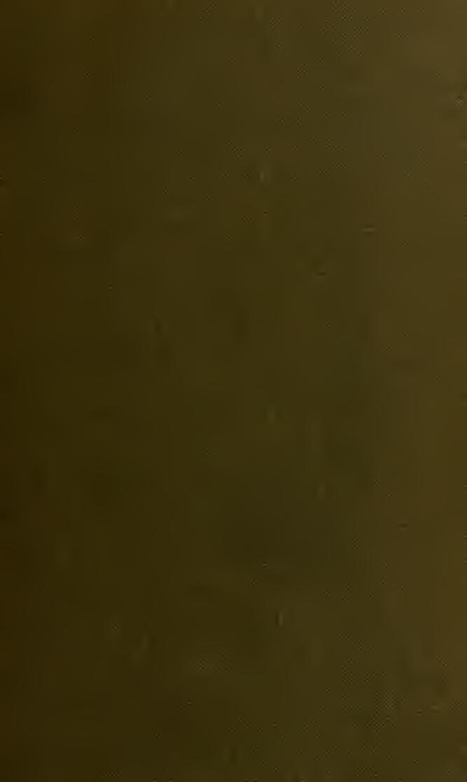 Insolite : une femme vivait avec 800 rats dans sa maison