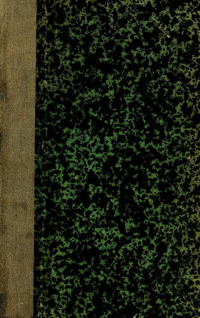 Nouvelle-Zélande : après le cyclone, le pays frappé par un séisme